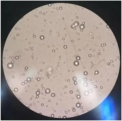 Effects of Different Environment-Friendly Gibberellic Acid Microcapsules on Herbicide Injury of Wheat